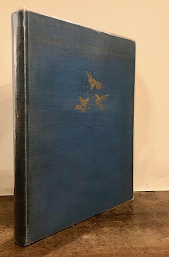 Christopher Morley  Where the blue begins... with illustrations by Arthur Rackham 1925 London - New York William Heinemann Ltd - Doubleday Page & Co.
